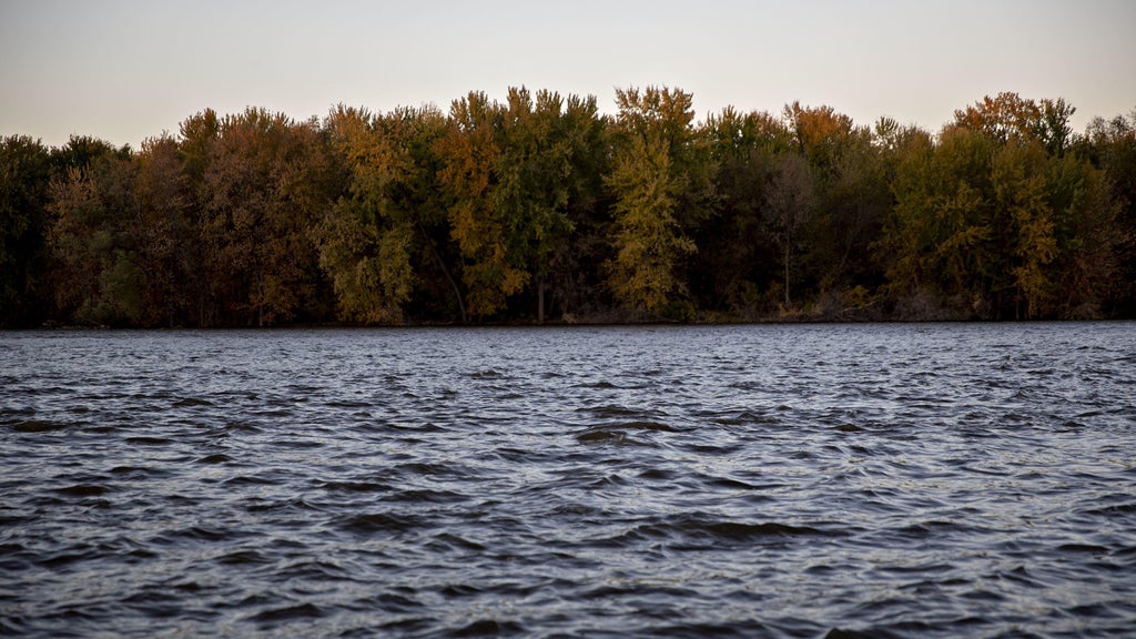 Watchdog says PFAS found in 100% of Minnesota water testing sites — WCCO / CBS Minnesota, Shoreview Health news