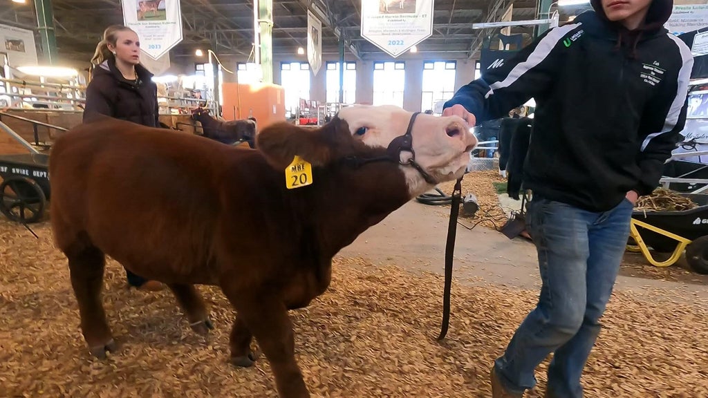 Spotlight on beef as Minnesota midterms near — WCCO / CBS Minnesota, Shoreview Community news