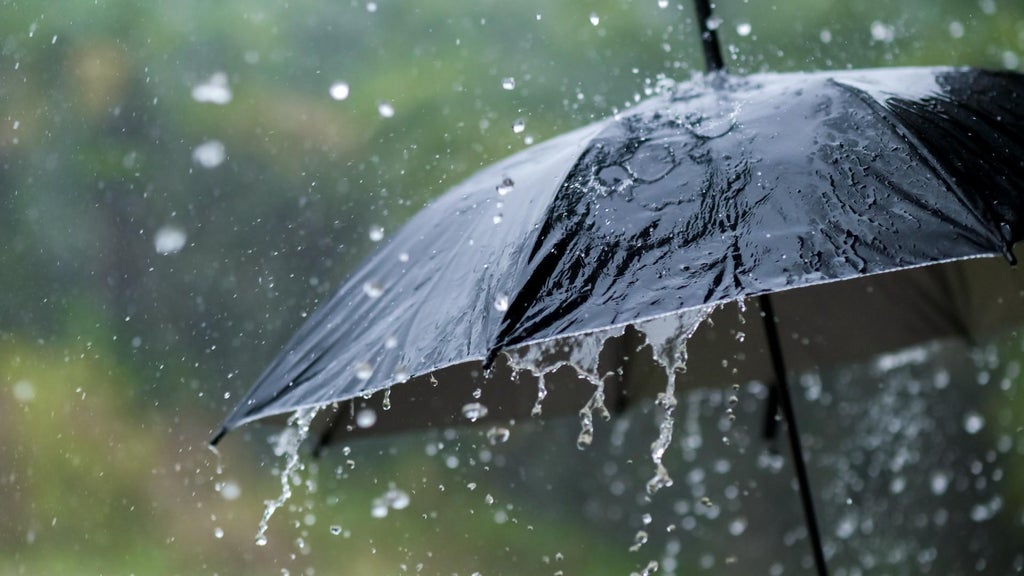 Widespread rain in Minnesota Monday; milder air returns Tuesday — WCCO / CBS Minnesota, Shoreview Community news