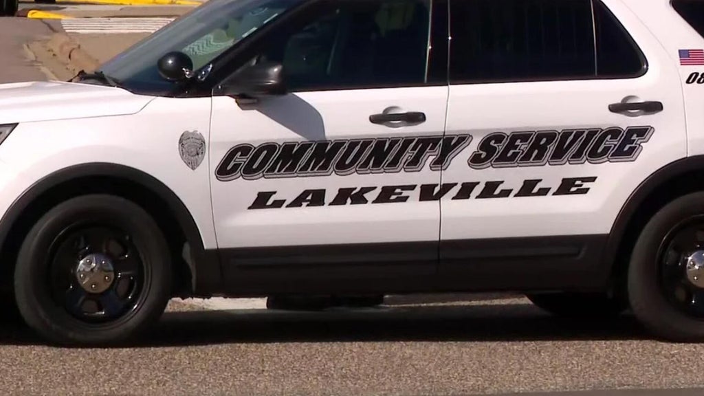 Lakeville man convicted of murdering sister, her unborn child in 2024 — WCCO / CBS Minnesota, Shoreview Community news