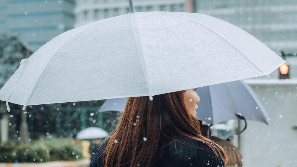 Soggy, chilly Thursday in the Twin Cities; season's first frost possible Saturday — WCCO / CBS Minnesota, Shoreview Sports news