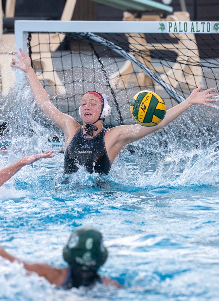 Wilcox Water Polo Caught in Vikings Rip Current — Silicon Valley Voice, Shoreview Sports news