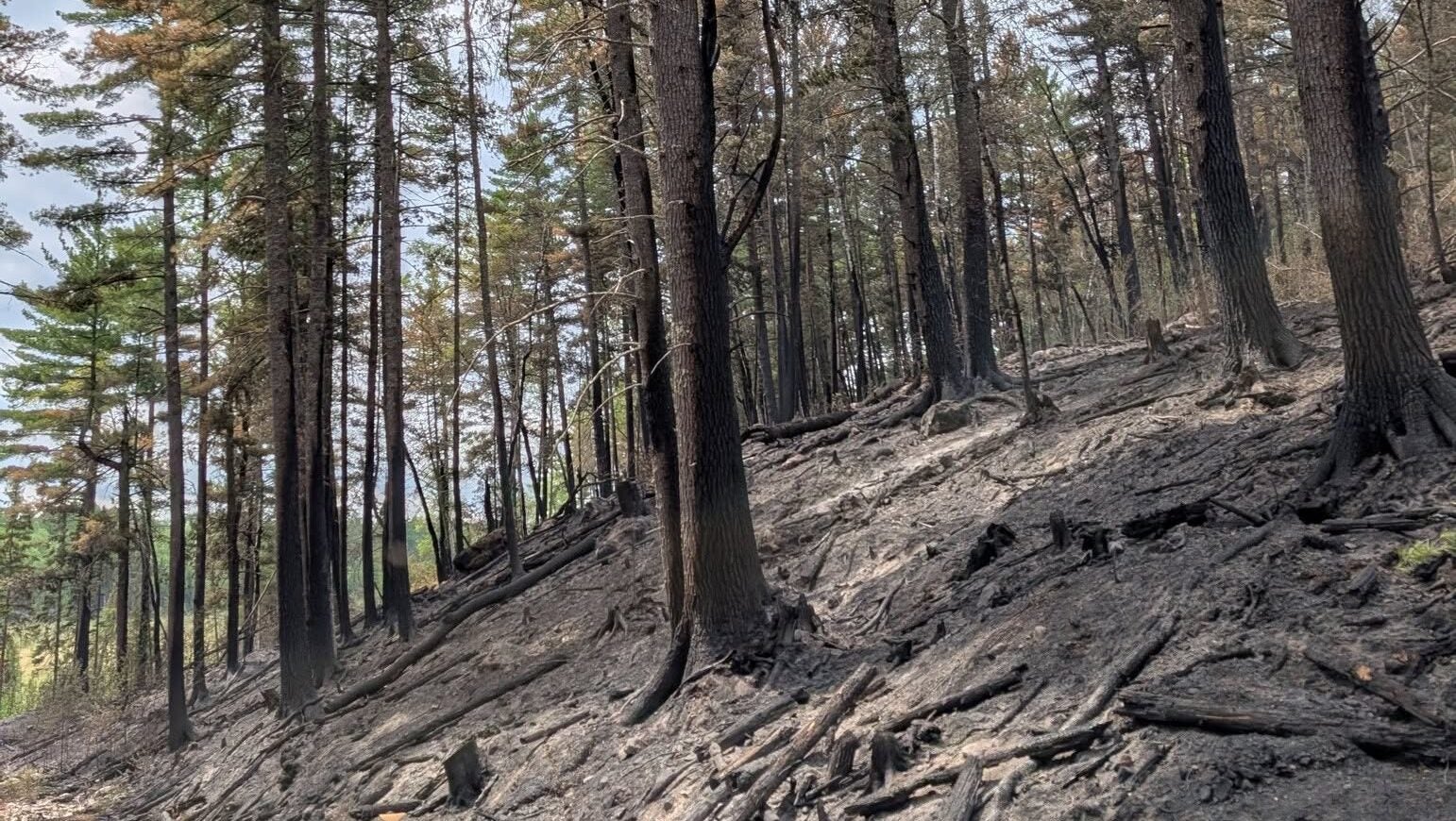 74-year-old who became separated from his family on a trail in Ely was discovered dead — KSTP 5, Shoreview Community news