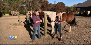 Bunker Park Stable trail rides — KSTP 5