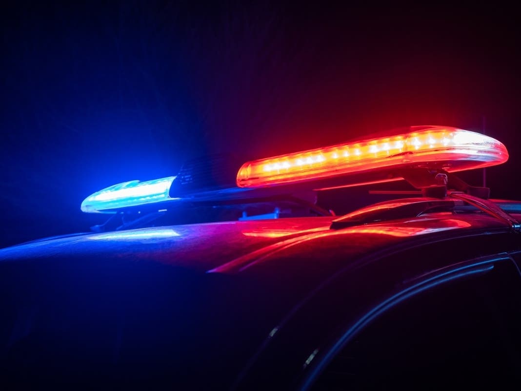 Police Training Taking Place In Coyote Hills, School In Fremont. What To Know — Piedmont Patch, Shoreview Schools news