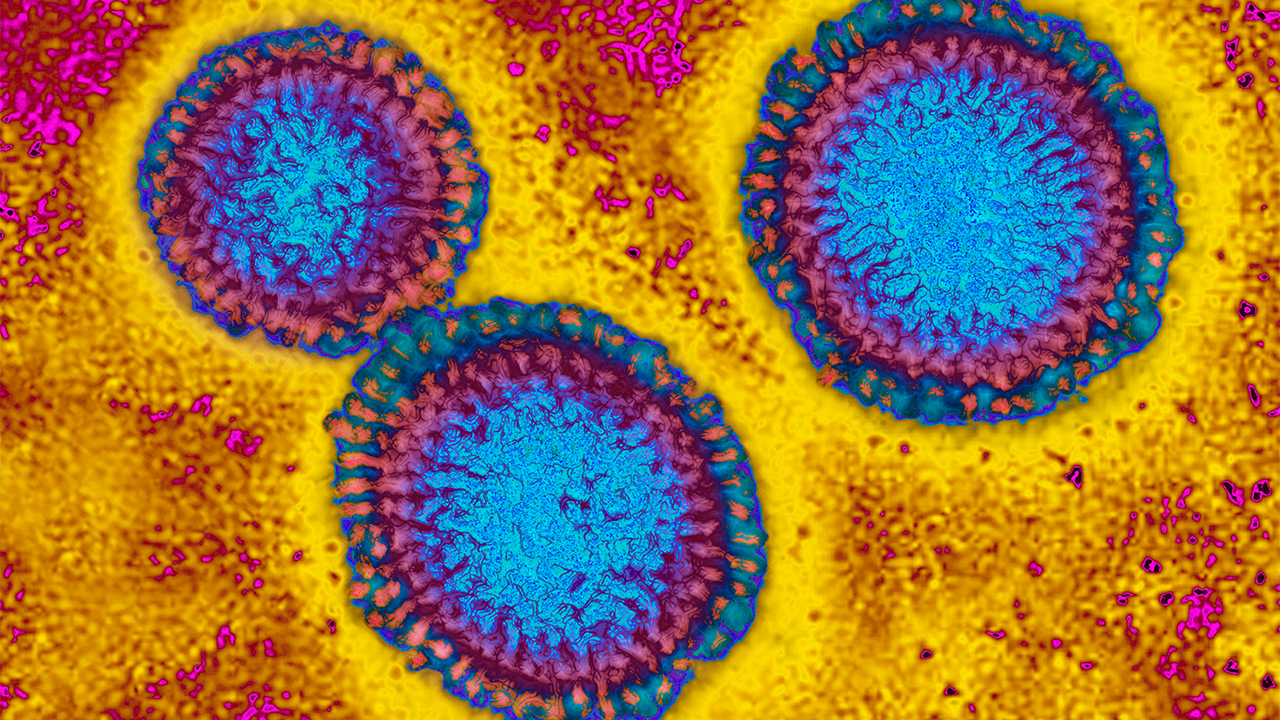 Flu hospitalizations 'slightly higher' than usual, officials urge vaccinations — FOX 9, Shoreview Health news