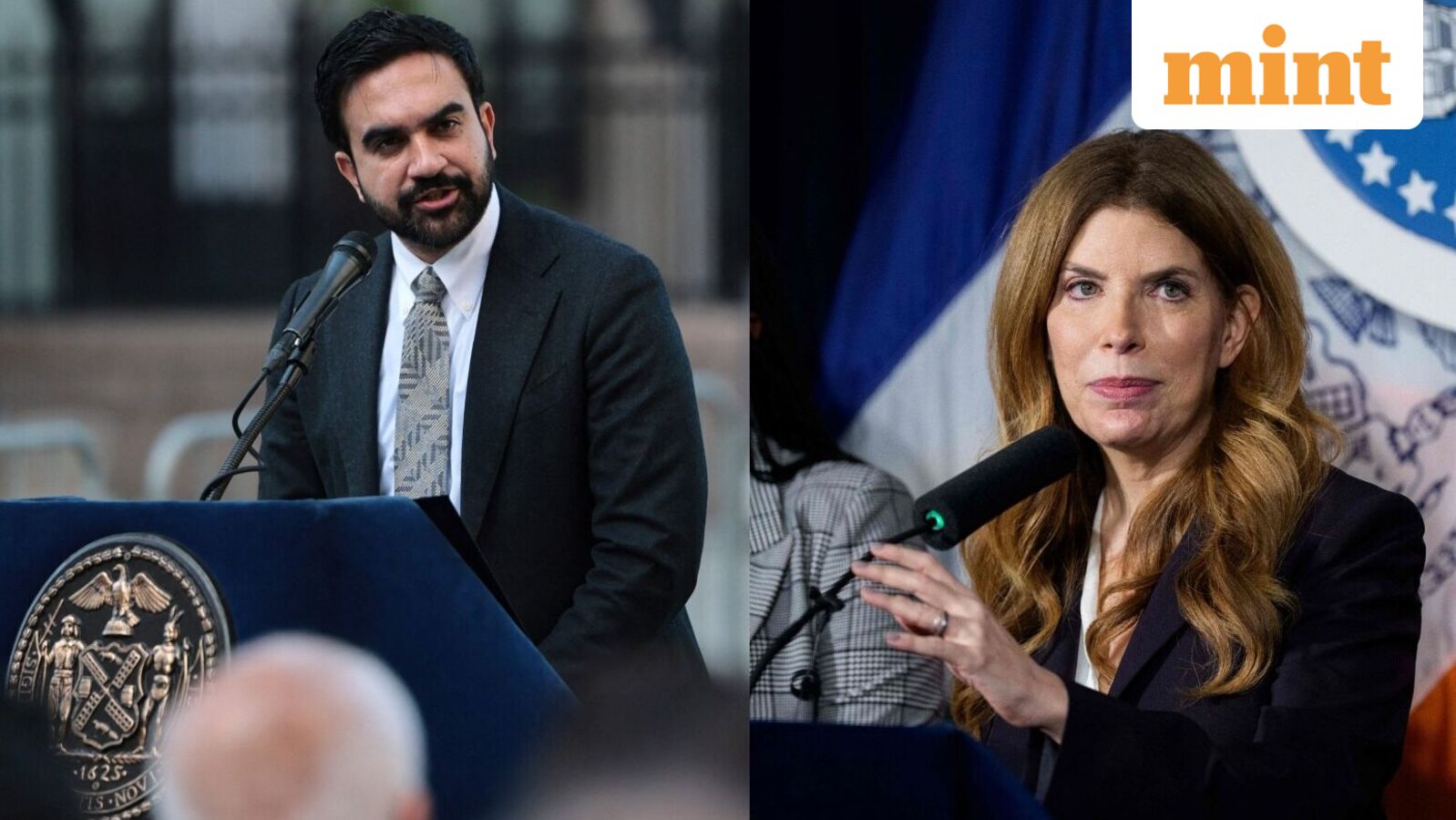 New York City's historic horse carriage rides to come to an end soon? All about Mayor Zohran Mamdani's latest move — Mint India, Shoreview Government news