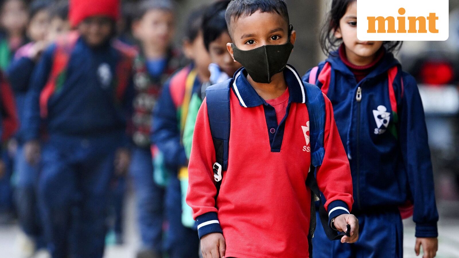 Chennai school holiday, Oct 21: Schools shut in four Tamil Nadu districts as heavy rains predicted | Check IMD alert — Mint India, Shoreview Schools news